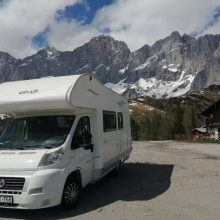 Elefánt az úton