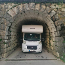Elefánt az úton